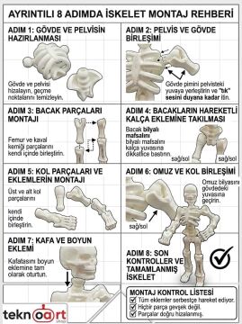 Eklemli İskelet - Fen Bilgisi Eğitici Kit Card