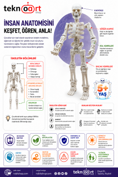 Eklemli İskelet - Fen Bilgisi Eğitici Kit Card