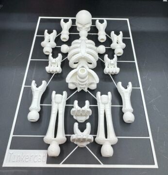 Eklemli İskelet - Fen Bilgisi Eğitici Kit Card