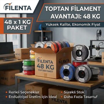 Filenta 48'li Petg Filament - 339TL
