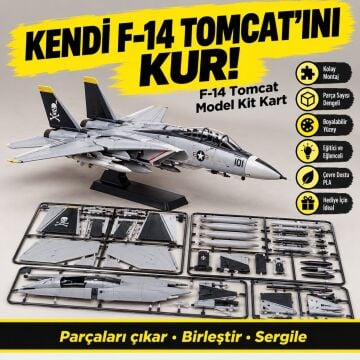 F14 Tomcat Model Kitcard