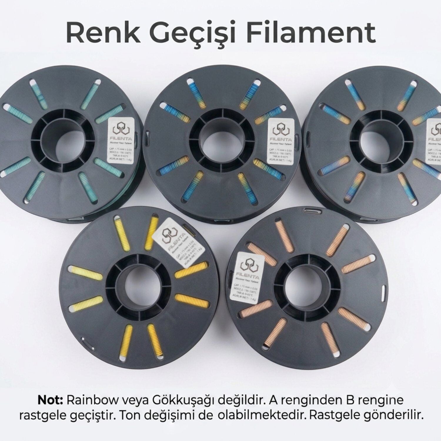 Filenta Renk Geçişi PETG Filament 1.75 mm 1kg